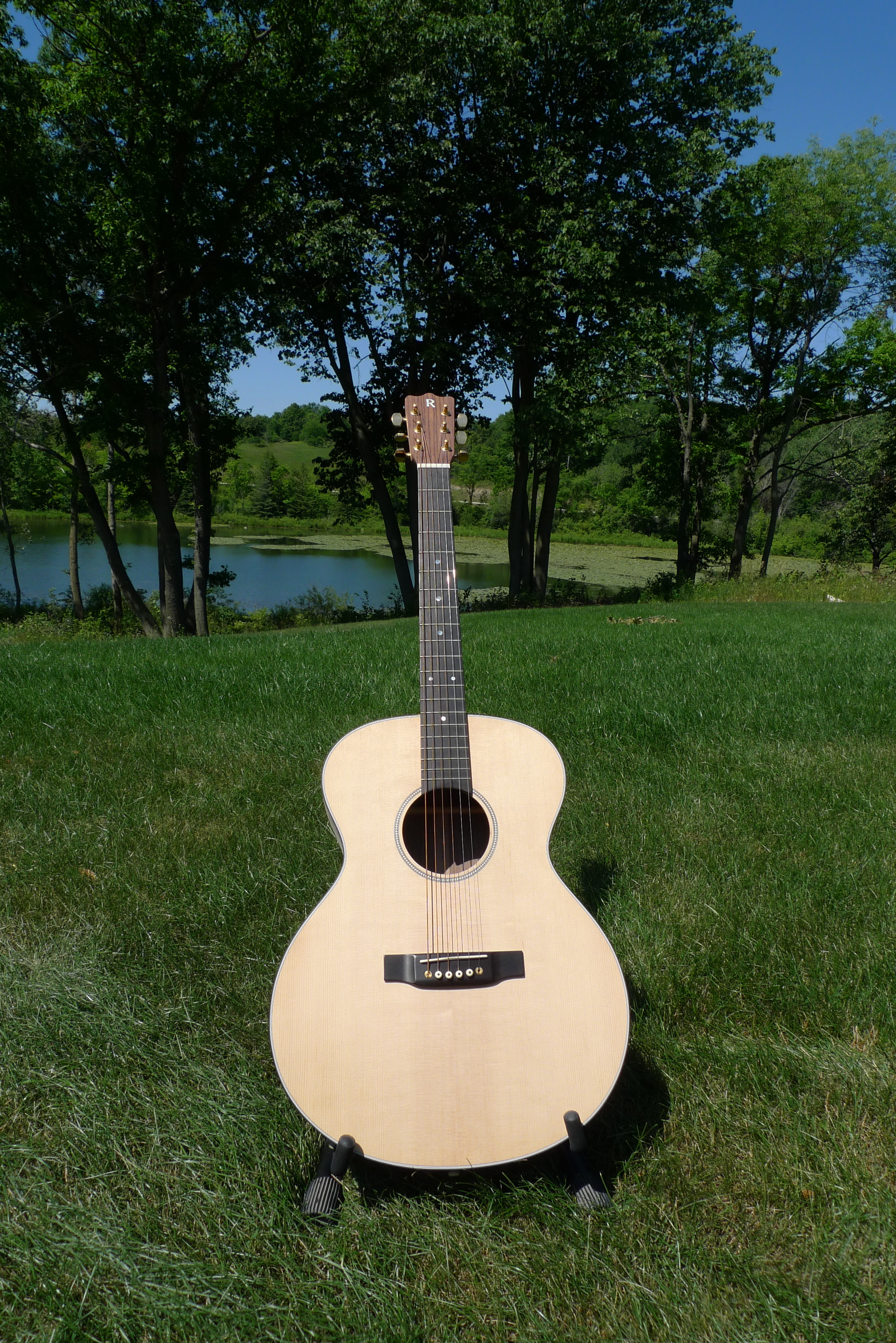 Model N Archtop outdoors
