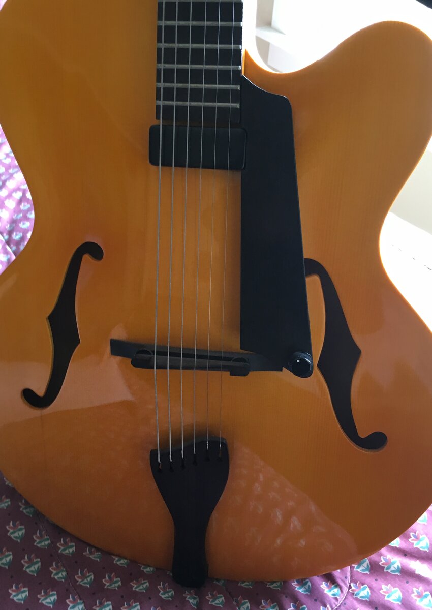 Model N Archtop — flamed maple