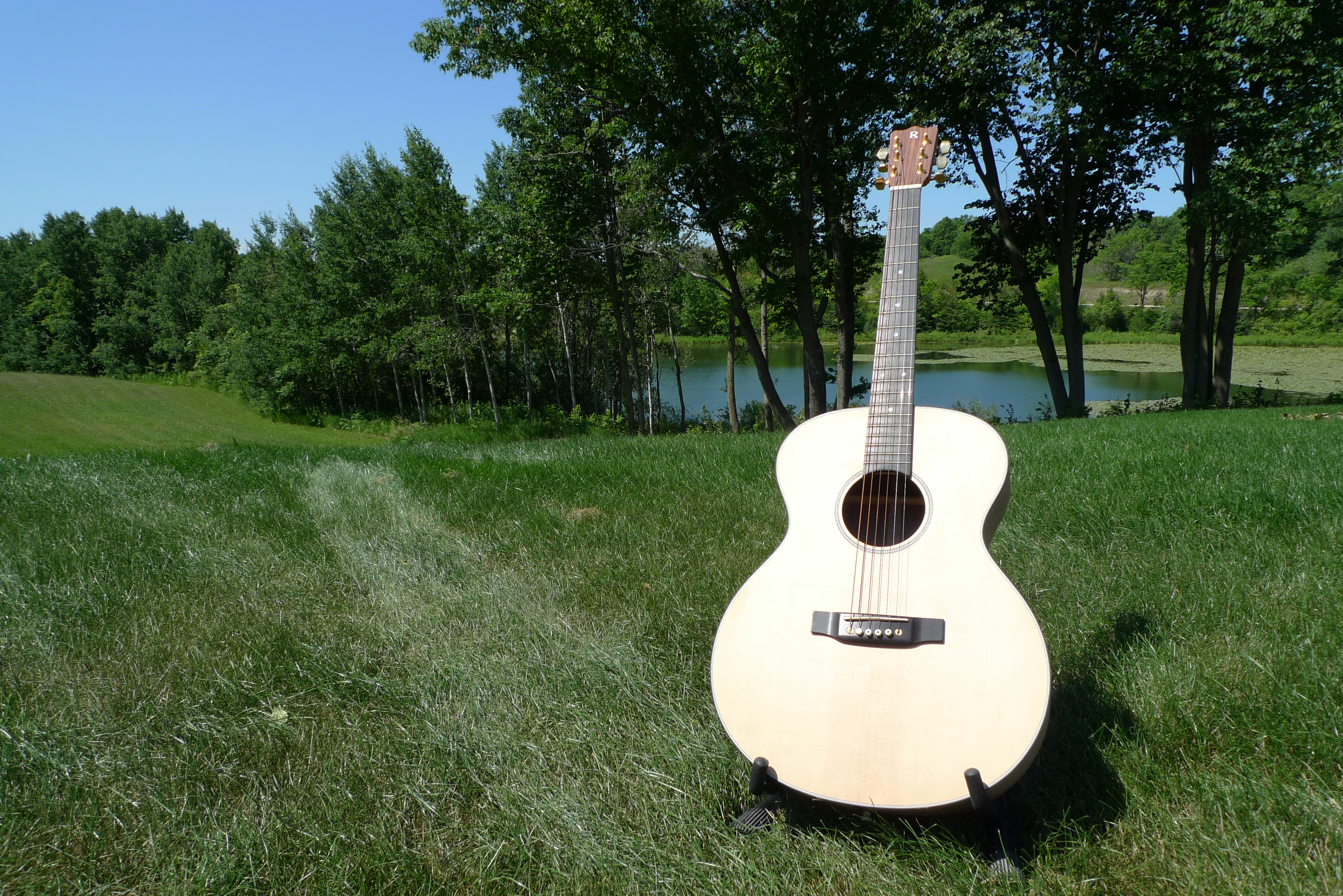Model N Archtop detail