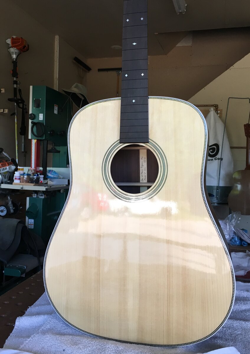 Model N Dreadnought — spruce top
