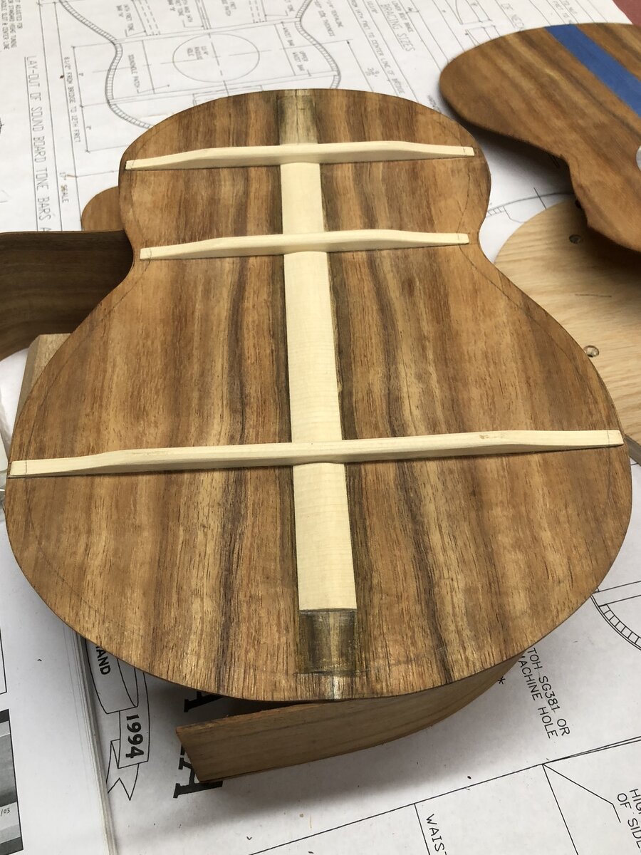 Back plate with spruce bracing